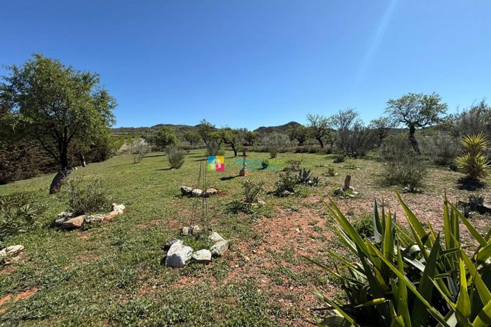 Image No.42-5 Bed Country House for sale