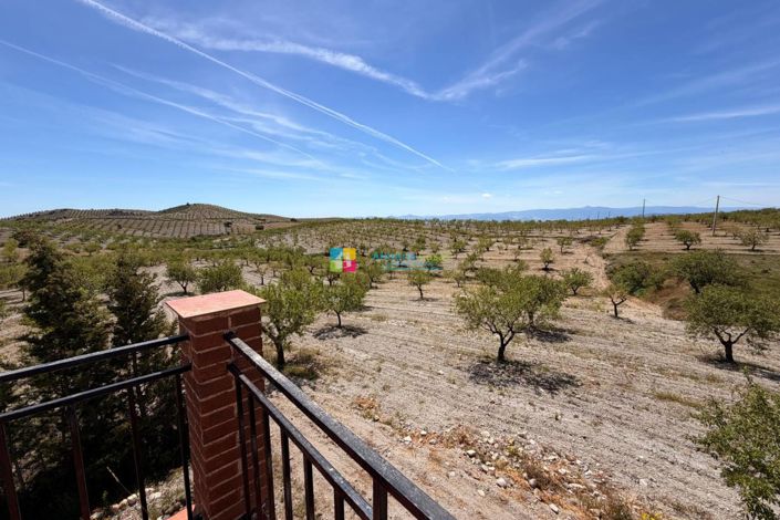 Image No.16-5 Bed Country House for sale