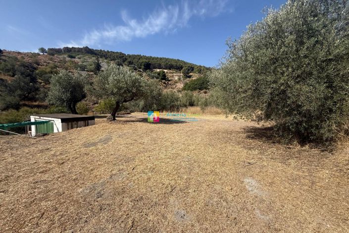 Image No.36-4 Bed Country House for sale