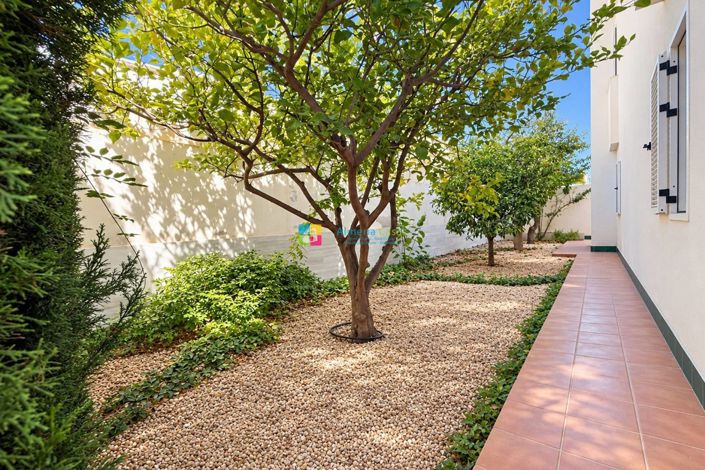 Image No.31-3 Bed Villa for sale