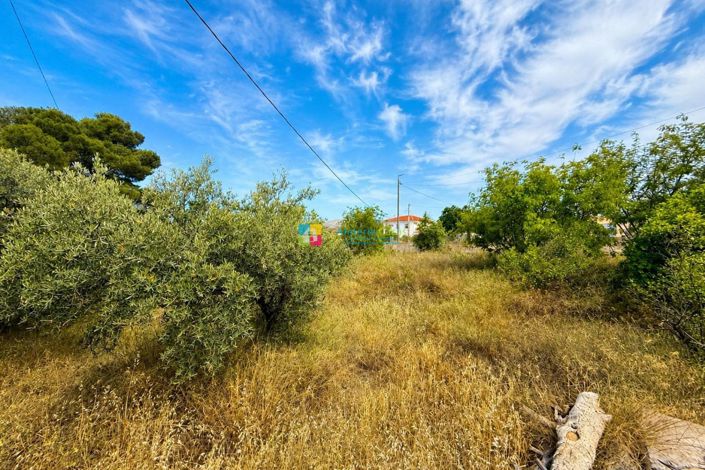Image No.24-3 Bed Country House for sale