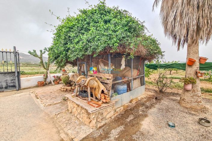 Image No.8-5 Bed Country House for sale