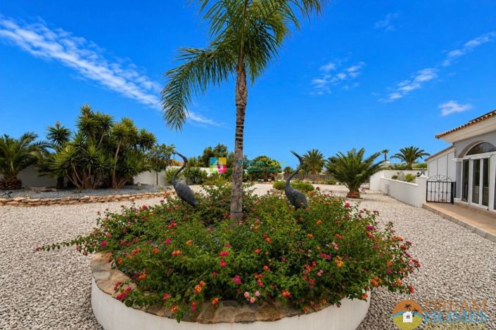 Image No.37-3 Bed Villa for sale