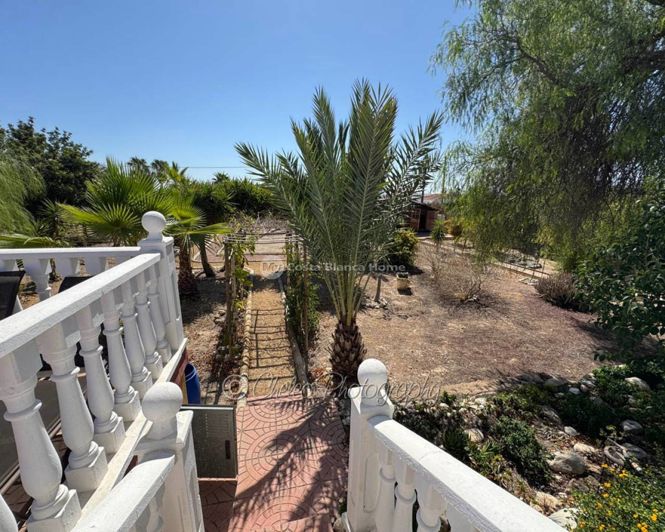 Image No.22-Villa de 4 chambres à vendre à Albatera