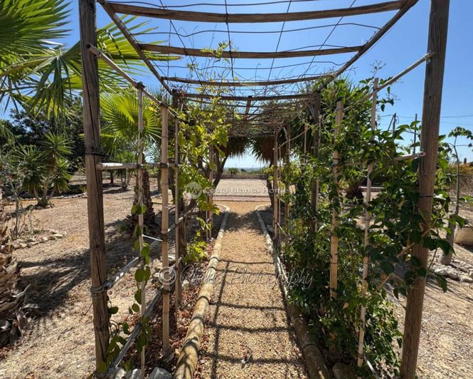 Image No.23-Villa de 4 chambres à vendre à Albatera