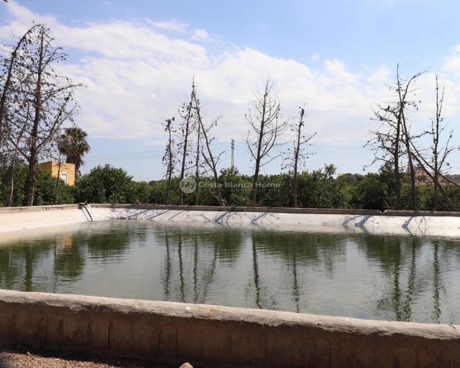 Image No.26-3 Bed Country House for sale