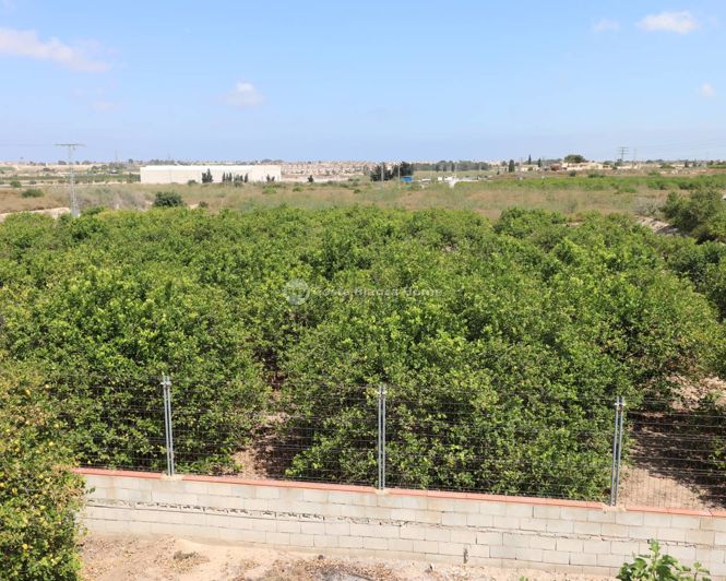 Image No.28-3 Bed Country House for sale