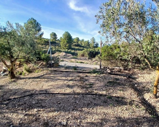 Image No.30-Villa de 3 chambres à vendre à Yecla