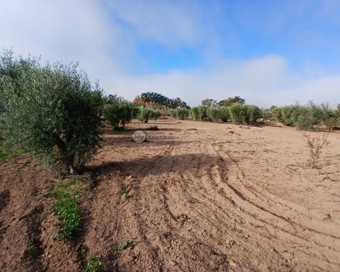 Image No.23-3 Bed Property for sale