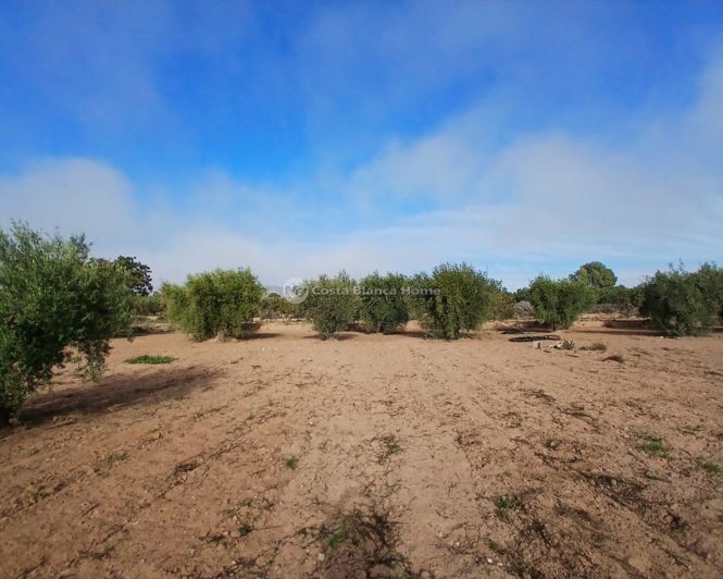 Image No.36-3 Bed Property for sale