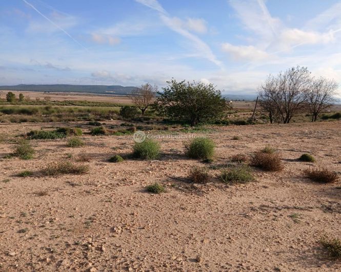 Image No.1-Property for sale