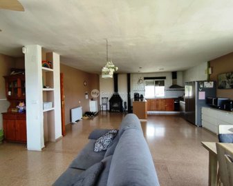156831xl