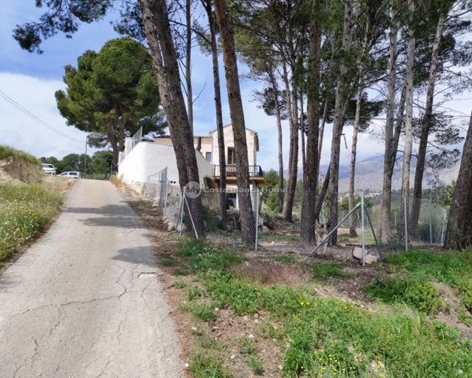 Image No.46-4 Bed Finca for sale