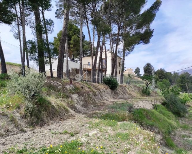 Image No.47-4 Bed Finca for sale