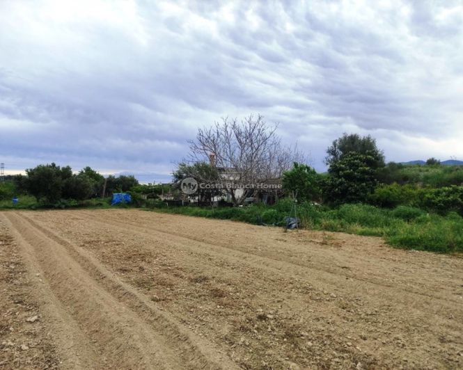 Image No.23-3 Bed Country House for sale