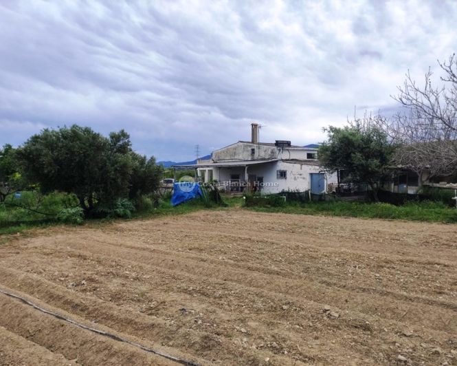 Image No.24-3 Bed Country House for sale