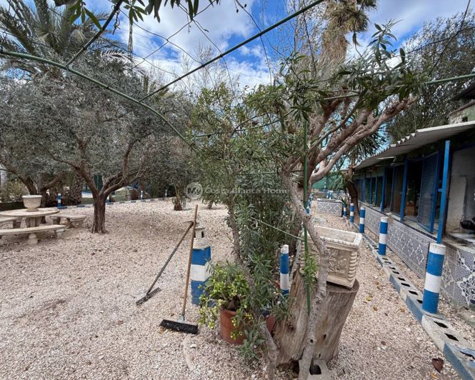 Image No.29-3 Bed Country House for sale