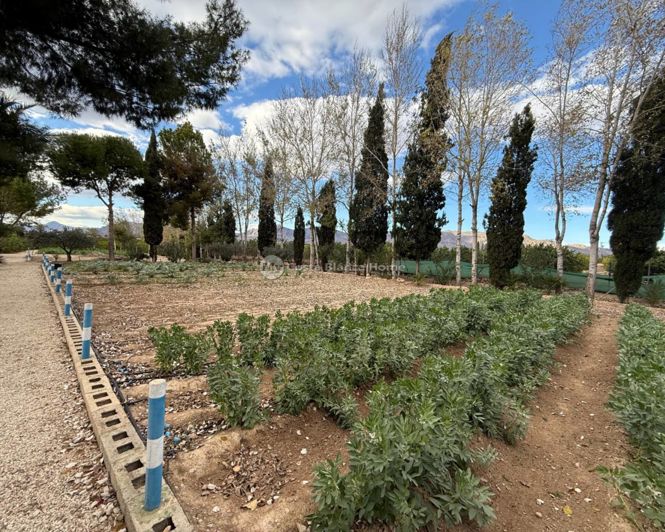 Image No.33-Maison de campagne de 3 chambres à vendre à Crevillente