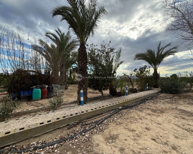 Image No.34-Maison de campagne de 3 chambres à vendre à Crevillente