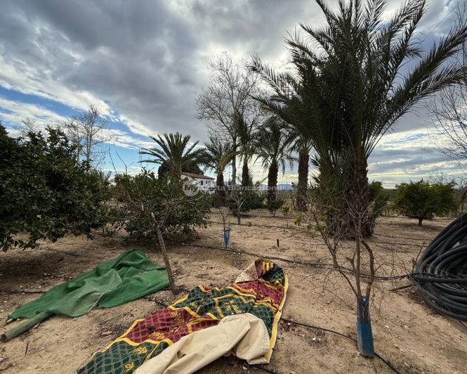 Image No.35-3 Bed Country House for sale