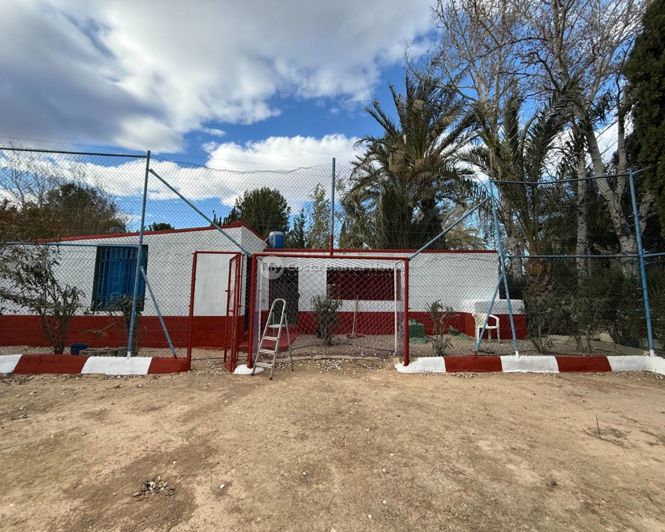 Image No.36-Maison de campagne de 3 chambres à vendre à Crevillente