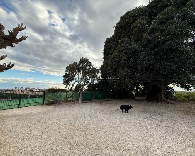 Image No.31-5 Bed Country House for sale