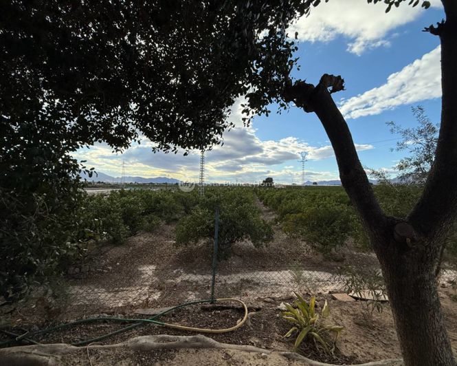 Image No.32-5 Bed Country House for sale