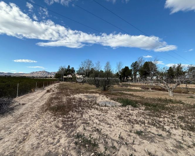 Image No.33-5 Bed Country House for sale