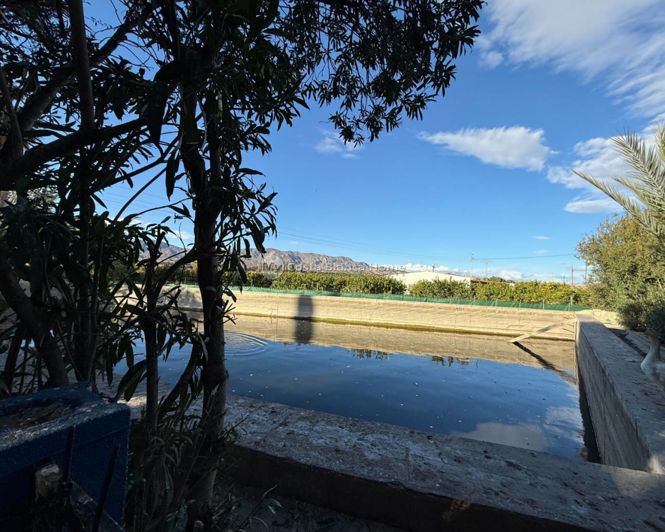 Image No.44-Maison de campagne de 5 chambres à vendre à Crevillente