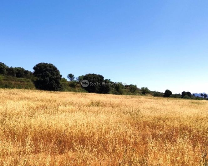 Image No.40-11 Bed Finca for sale