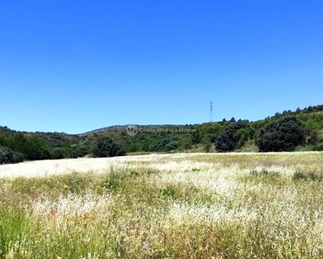 Image No.42-11 Bed Finca for sale