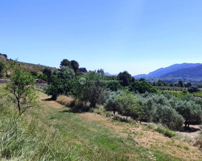 Image No.43-11 Bed Finca for sale