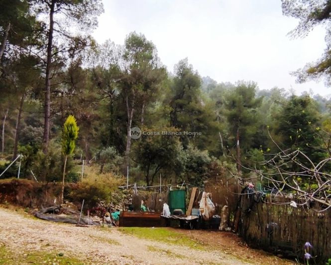 Image No.19-5 Bed Country House for sale