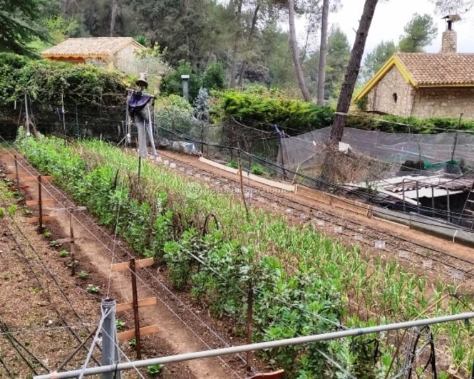 Image No.29-5 Bed Country House for sale