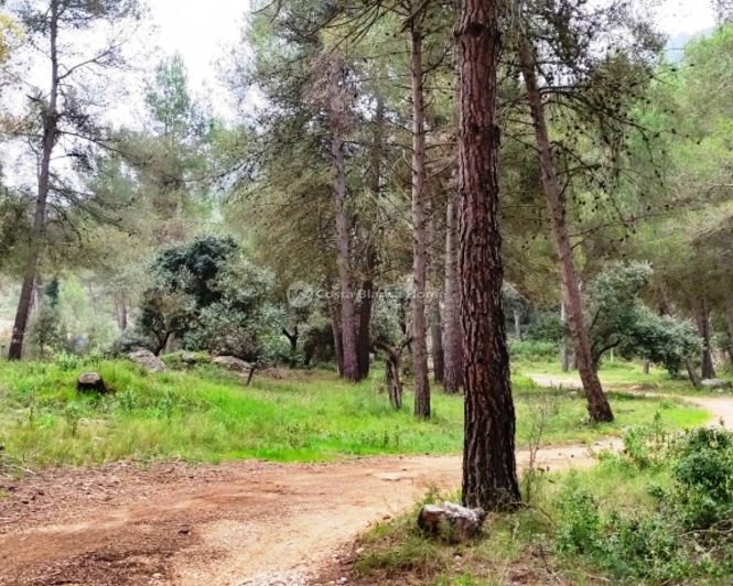 Image No.31-5 Bed Country House for sale