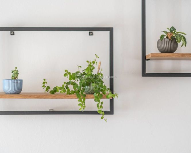 Image No.44-3 Bed Country House for sale