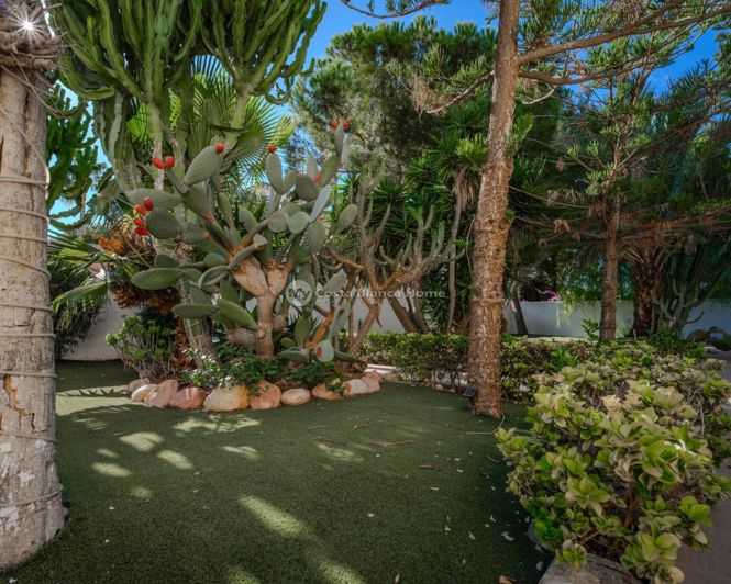 Image No.46-5 Bed Villa for sale