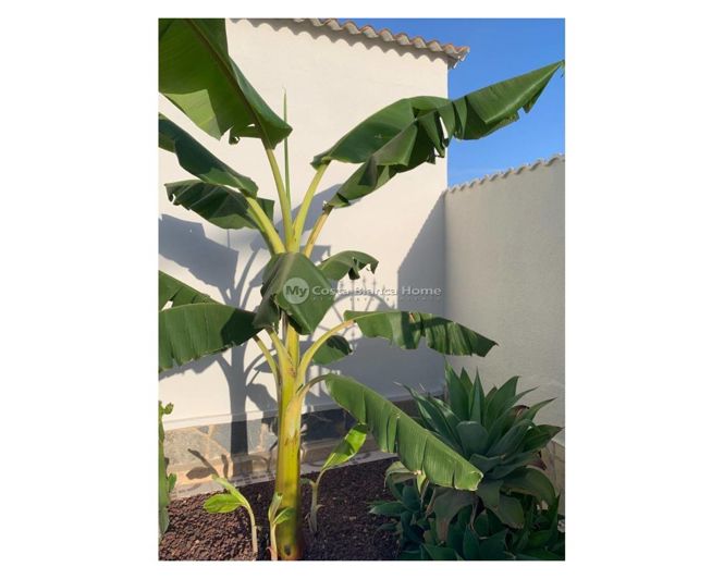 Image No.16-Villa / Détaché de 4 chambres à vendre à Ciudad Quesada