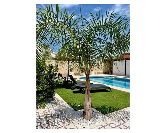 Image No.38-Villa / Détaché de 4 chambres à vendre à Ciudad Quesada