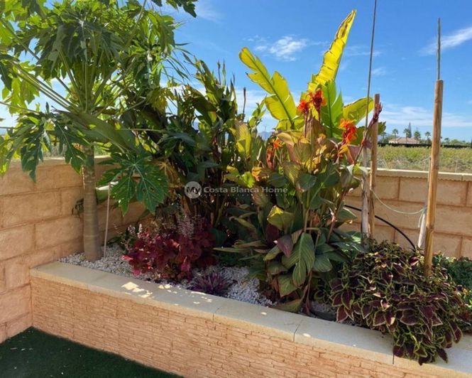 Image No.32-Maison de campagne de 5 chambres à vendre à Albatera