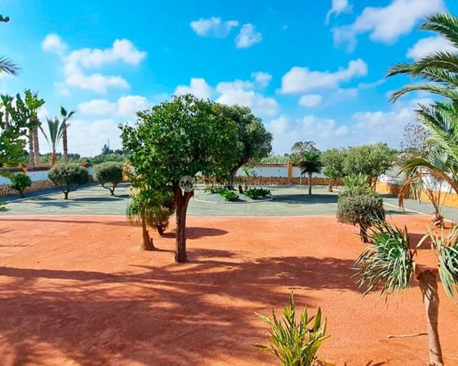 Image No.14-3 Bed Country House for sale