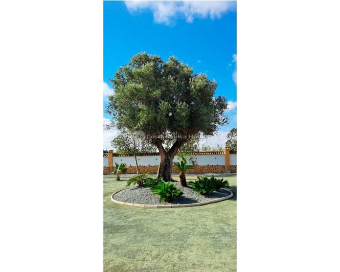 Image No.15-3 Bed Country House for sale