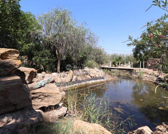 Image No.41-7 Bed Country House for sale