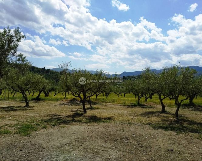 Image No.23-5 Bed Finca for sale