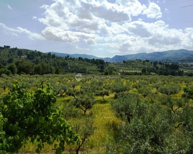 Image No.24-5 Bed Finca for sale