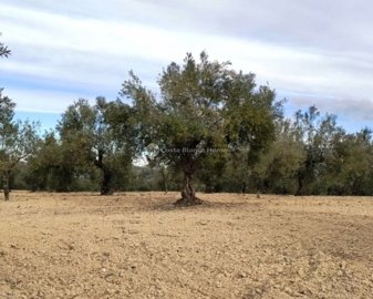 122251xl