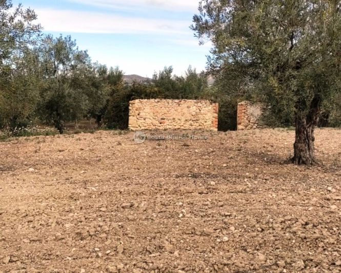 Image No.12-Propriété à vendre à Penáguila