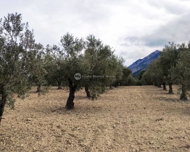 Image No.14-Propriété à vendre à Penáguila