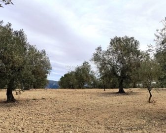 My Costa Blanca Home most sold property