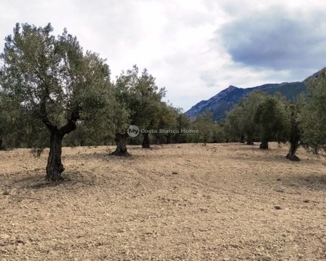 Image No.7-Propriété à vendre à Penáguila